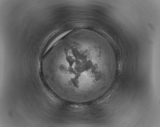 X0000112770733200908201507