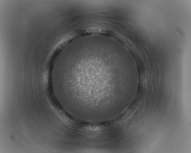 X0000112770735200908201507