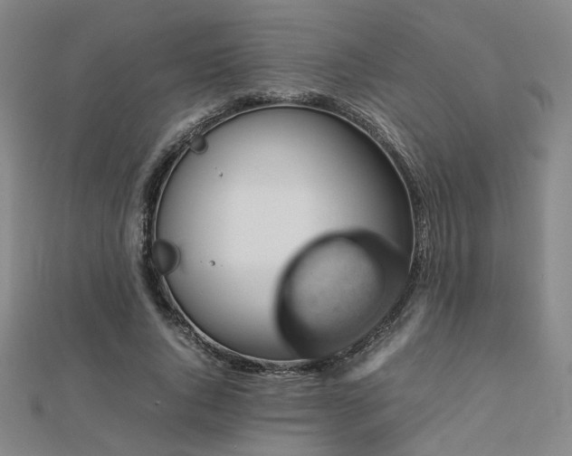 X0000112770736200908201507