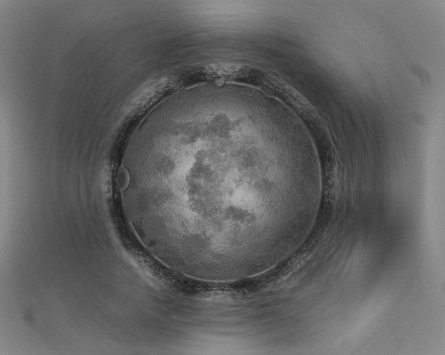 X0000112770738200908201507
