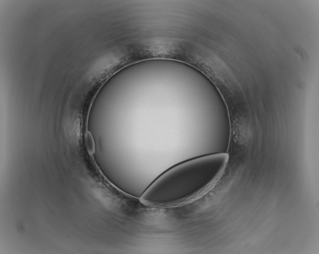 X0000112770740200908201507
