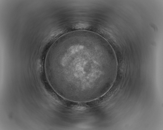 X0000112770743200908201507
