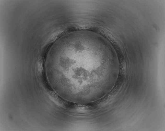 X0000112770746200908201507