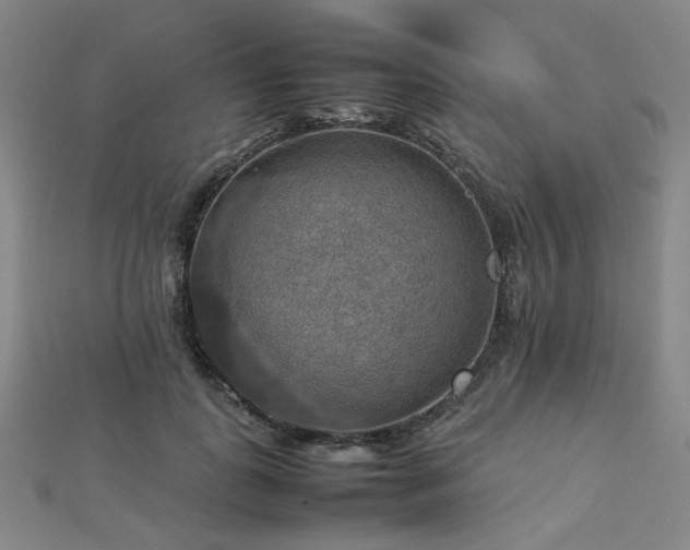 X0000112770747200908201507