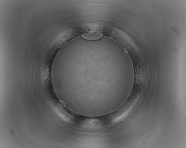 X0000112770748200908201507