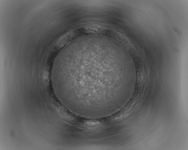 X0000112770749200908201507