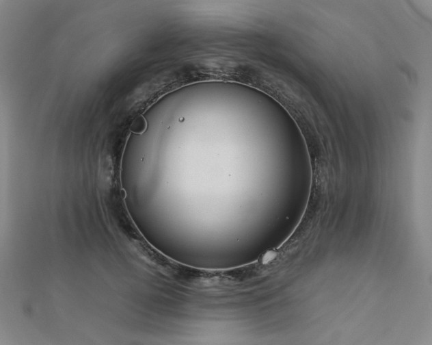 X0000112770752200908201507