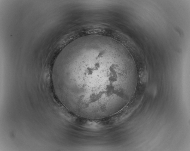 X0000112770753200908201507