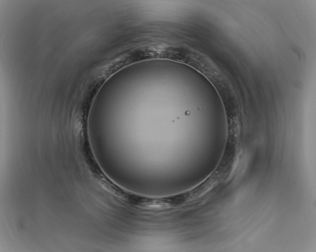 X0000112770754200908201507