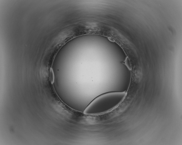 X0000112770756200908201507