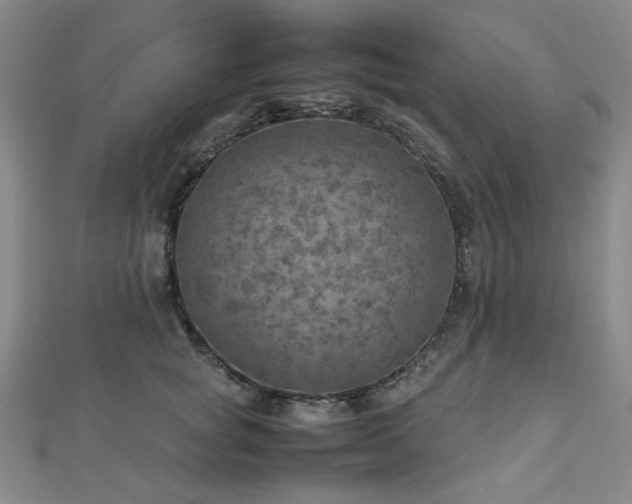 X0000112770757200908201507