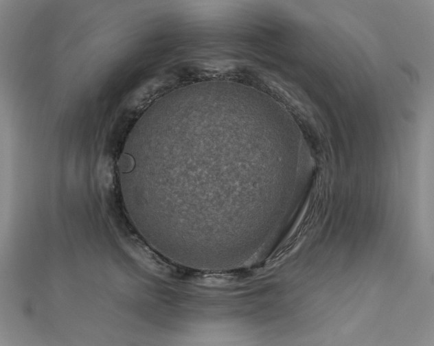X0000112770758200908201507