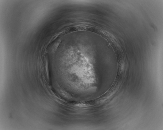 X0000112770759200908201507