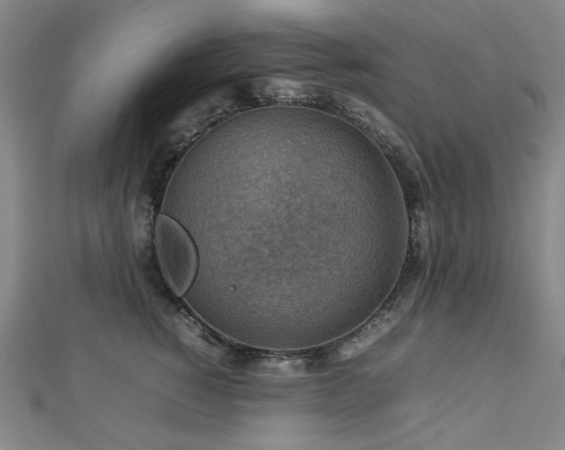 X0000112770760200908201507