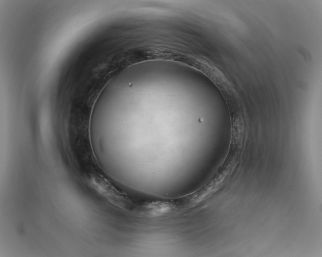X0000112770762200908201507