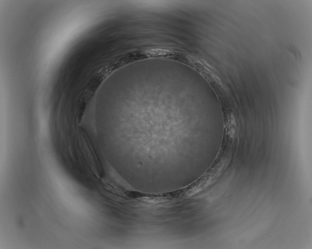 X0000112770763200908201507