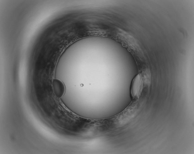 X0000112770764200908201507