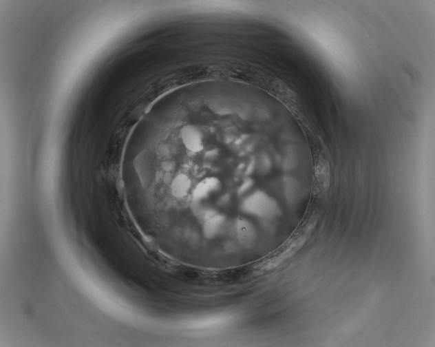 X0000112770765200908201507