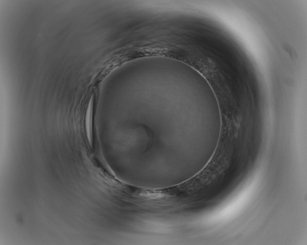 X0000112770767200908201507