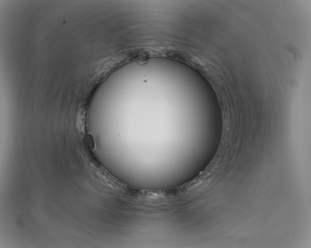 X0000112770768200908201507