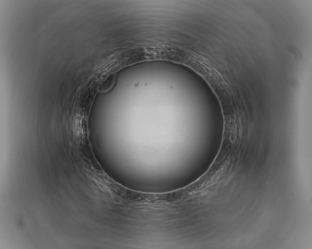 X0000112770770200908201507