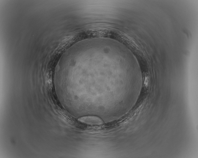 X0000112770771200908201507