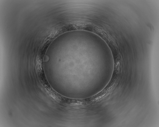 X0000112770772200908201507