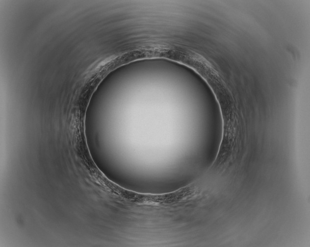 X0000112770773200908201507