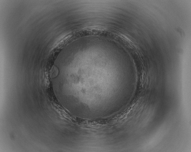 X0000112770774200908201507