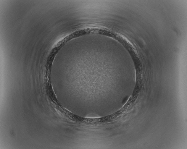 X0000112770775200908201507