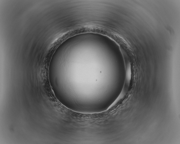X0000112770776200908201507