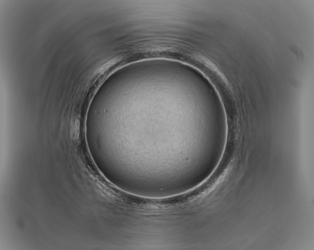 X0000112770777200908201507