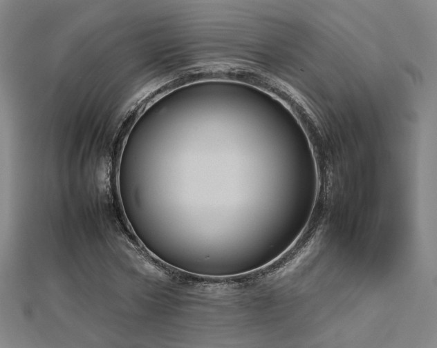 X0000112770778200908201507