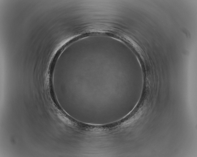 X0000112770779200908201507