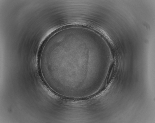X0000112770780200908201507
