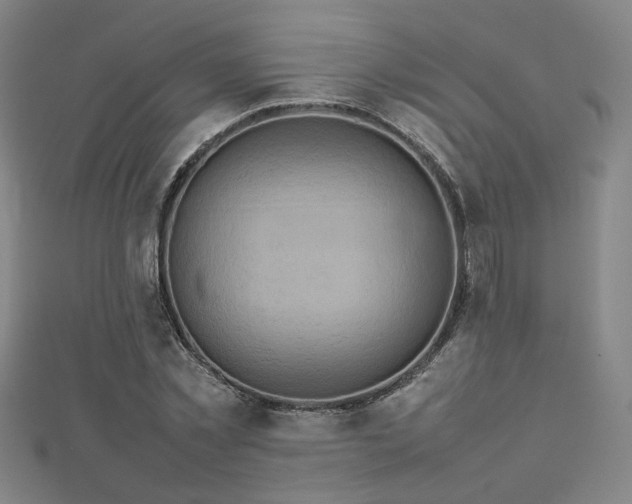 X0000112770781200908201506