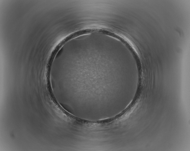 X0000112770783200908201506