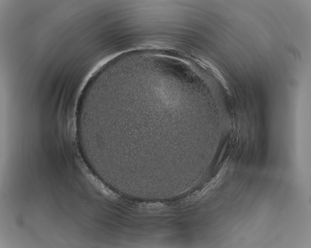 X0000112770784200908201506