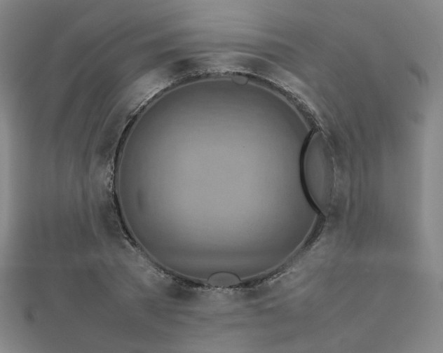 X0000112770785200908201506