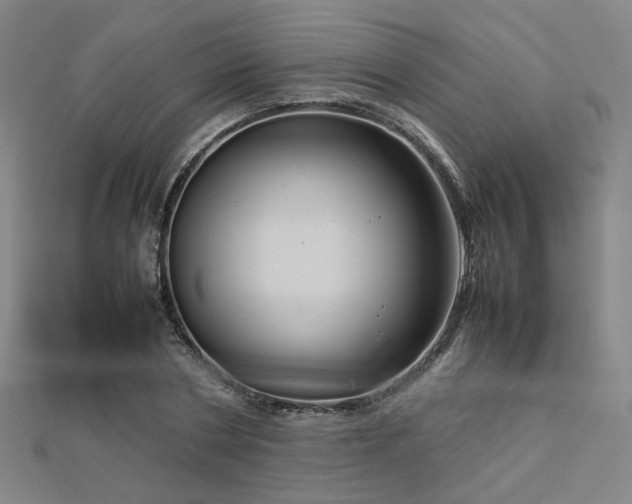 X0000112770786200908201506