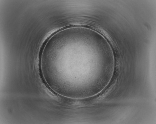 X0000112770787200908201506
