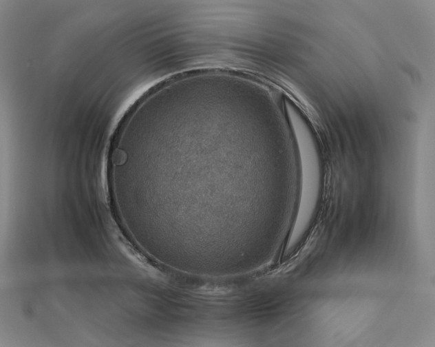 X0000112770788200908201506
