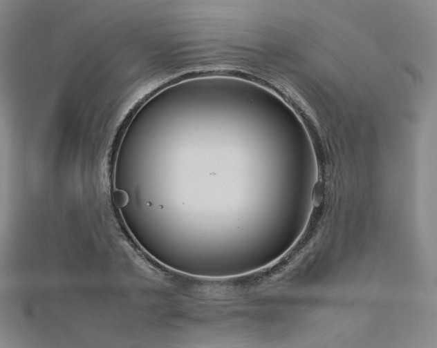 X0000112770789200908201506