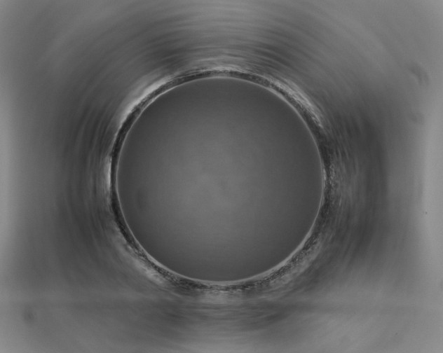X0000112770790200908201506