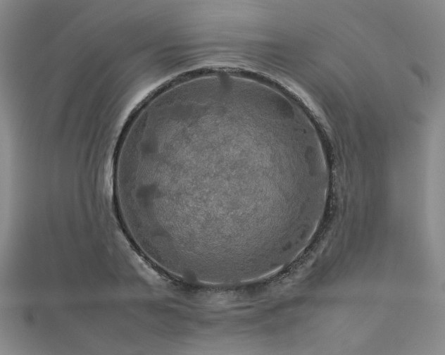 X0000112770791200908201506