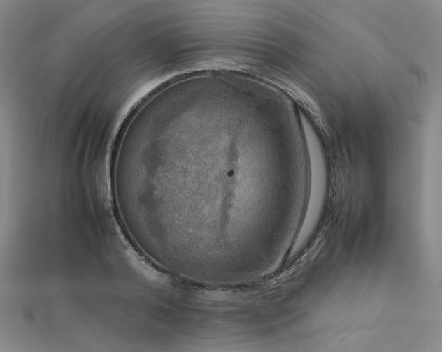X0000112770792200908201506