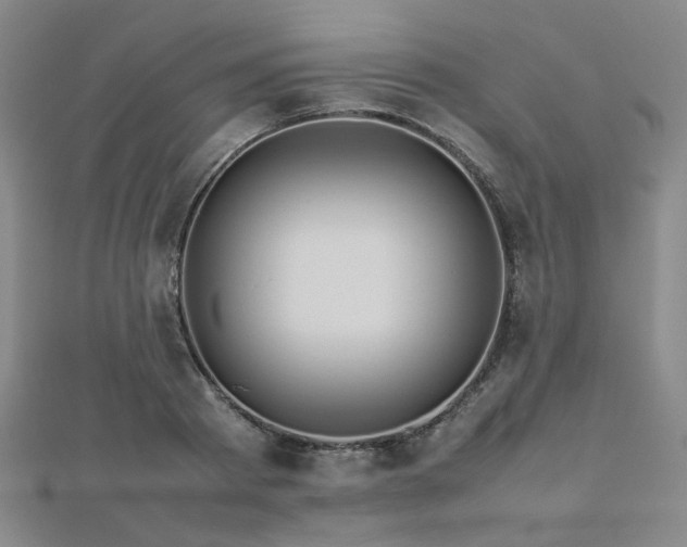 X0000112770793200908201506