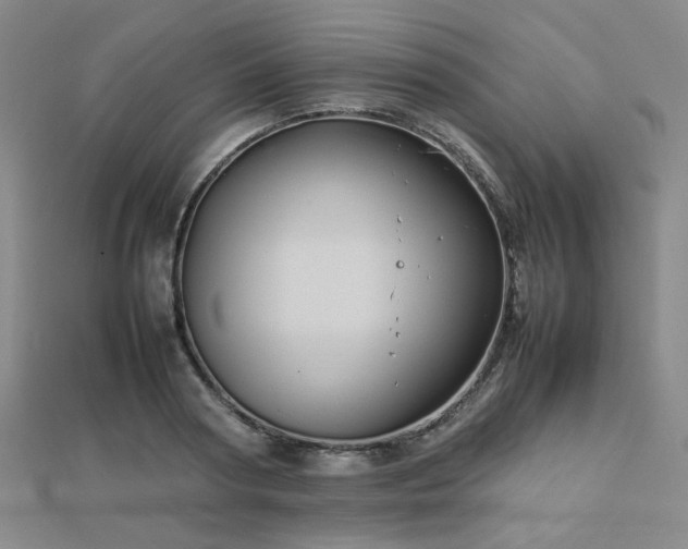 X0000112770794200908201506