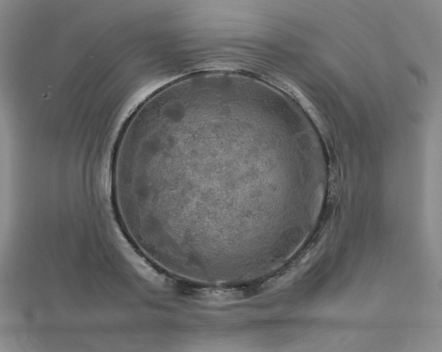 X0000112770795200908201506