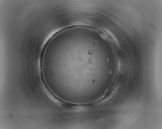 X0000112770796200908201506